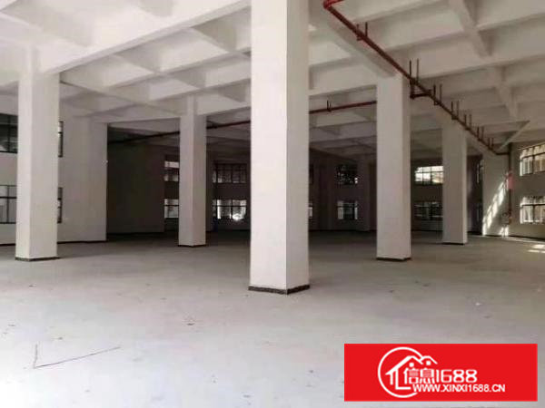 楼上全新标准厂房1500平仅租10元