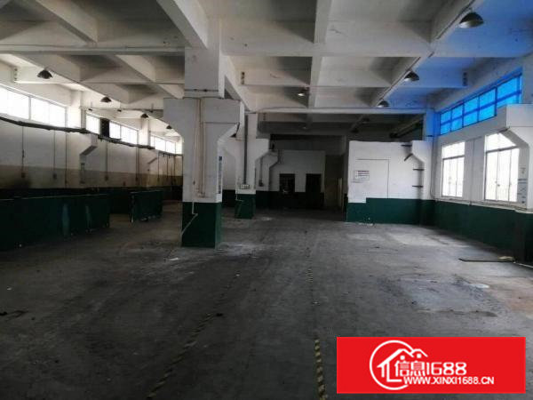 石排田寮单一层独院混凝土结构2000平方招租，空地3000平