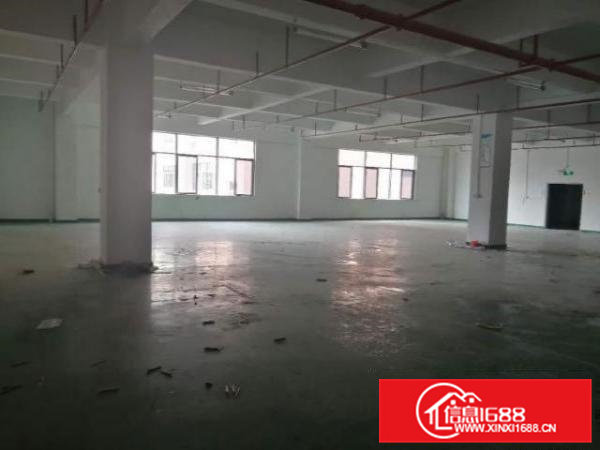 靠近深圳观澜凤岗天堂围西旺工业区仓库厂房出租楼上700平米