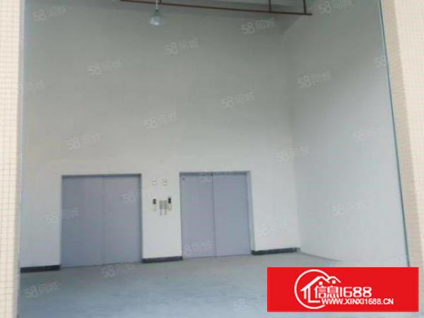 茶山全新独门独院可分租带印刷注塑丝印环评厂房空地大交通方便