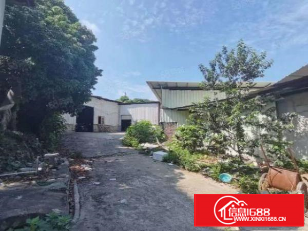 凤岗新出靠山边可做废品破碎抽粒喷粉特殊行业钢结构出租