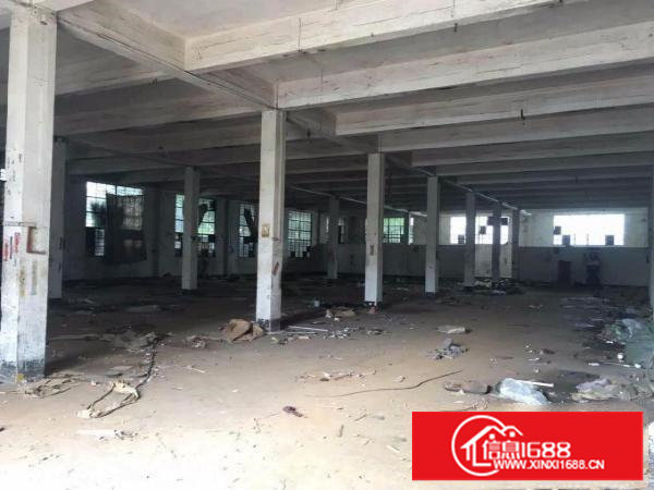 塘厦桥陇1200平方米6米标准一楼厂房，临凤凰岗/深圳/凤岗