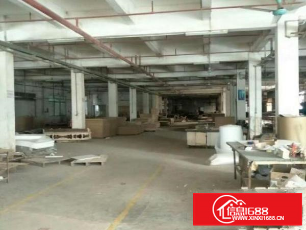 万江1800平方标准一楼或二楼急租(现成办公室)