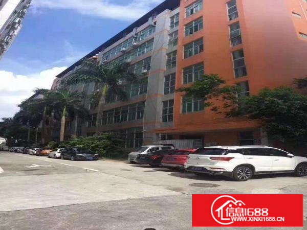 江灏工业园精装修厂房450平，电商办公仓库首选