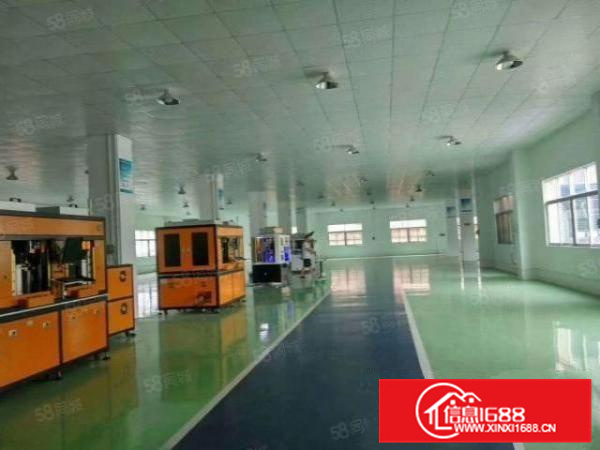 好招工可办环评容桂标准1500方带精装修a