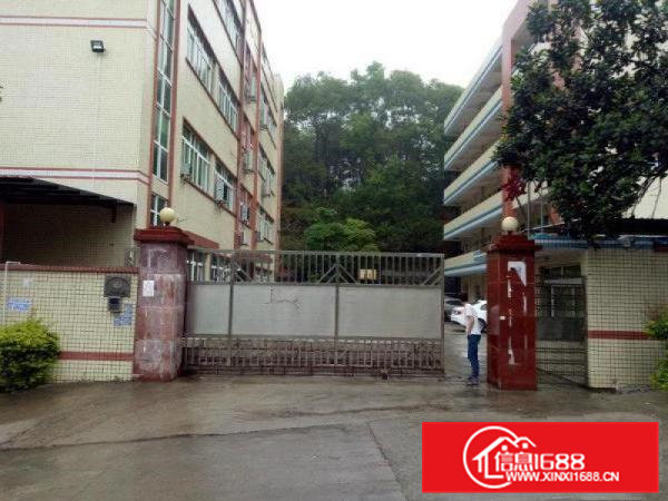 凤岗金凤凰独院6500平方火爆招租(可分租）