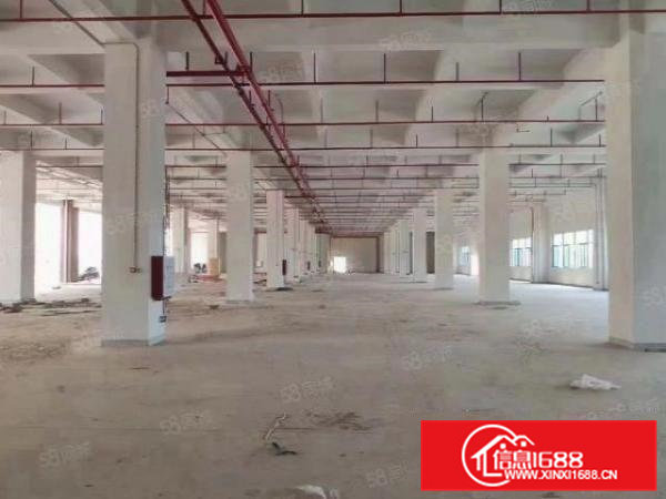 物流，冷库，模具福音，清溪新出一楼标准厂房5000平带卸货台