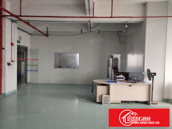 有证北滘园区550方标准厂房出租价格便宜A