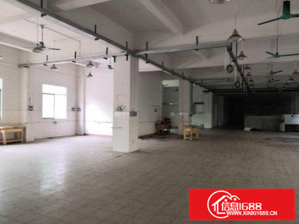 沙角工业区新出1楼500平方，办公室装修可办环评出租