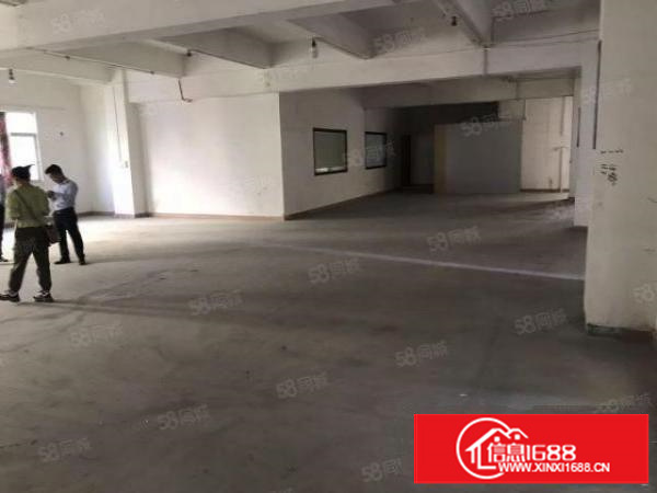 茶山原房东独院厂房7500方出租