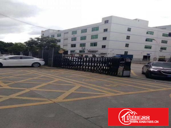 清溪镇新出（无公摊实际面积）原房东一楼700平厂房出租