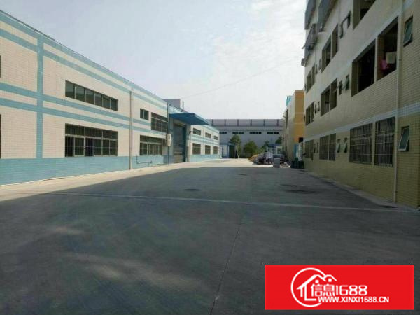 惠阳秋长独院带空地厂房仓库出租免中介费