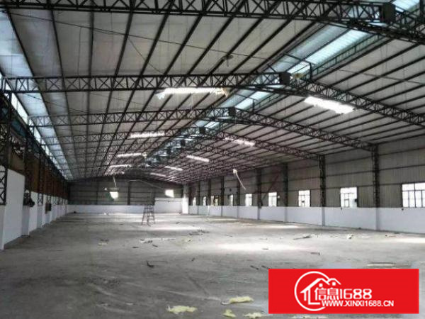 出租惠阳新墟独院单一层钢构500平方