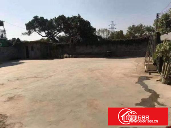 独门独院铁皮500平空地500平，大车随意进出。