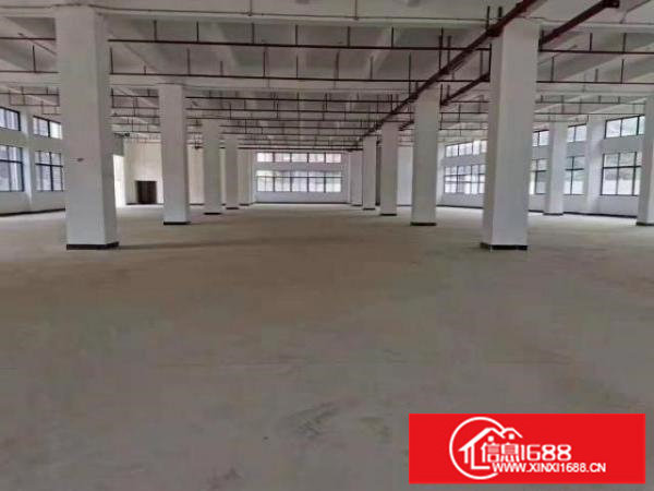 塘厦石马近深圳观兰独院厂房出租大小可分租形像好