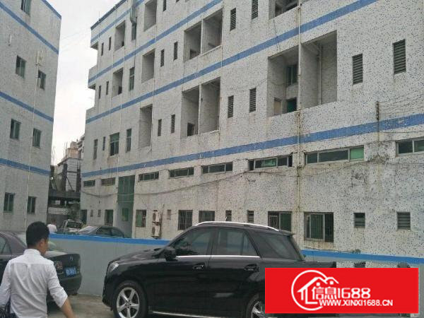 龙岗坪地6300平独院厂房带装修地坪地空地大可分租