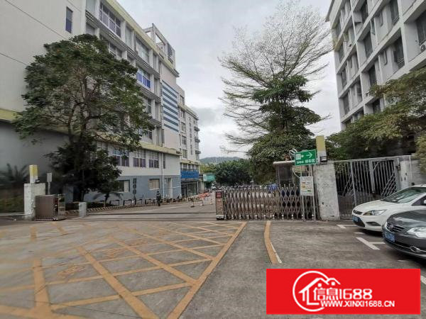 横岗高新产业园原房东2400平，房产证面积出租