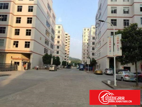 凤岗清溪路东深二线边上楼上5000平厂房出租，精装修，可分租