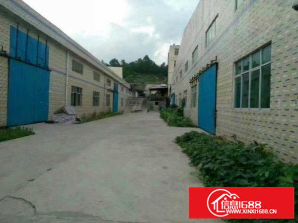 石井名城路新出单一层钢构300平起滴水7米便宜招商