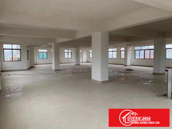 北栅元心大厦300多平方层房东直租