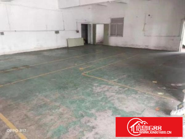 独门独户一楼，大小可分租