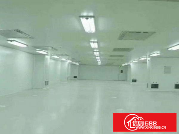 企石原房东分租无尘车间