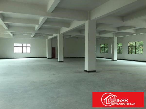 租一送一大朗大井头独栋二楼470平方厂房招租带货梯