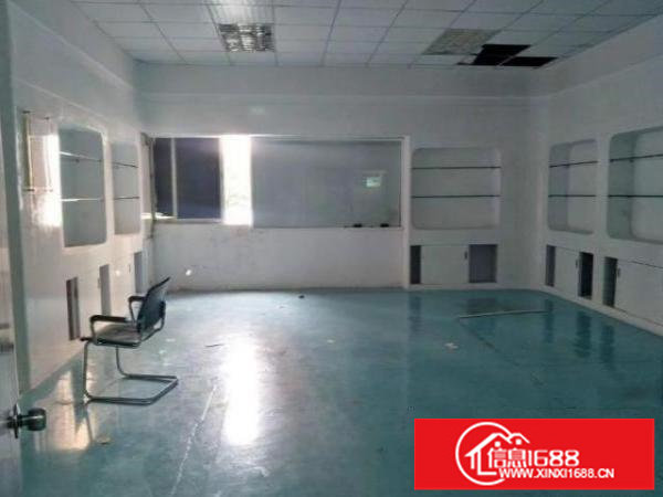 龙岗新出花园式厂房1800平方带精装修厂房