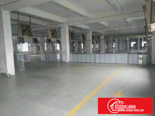 清溪镇近凤岗大型花园式独院厂房出租5万平方