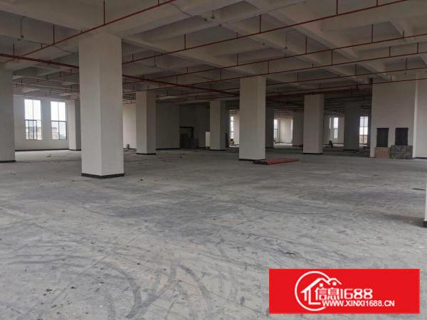 1665平方高端厂房（厚街大道）出租，工业上楼，动力十足