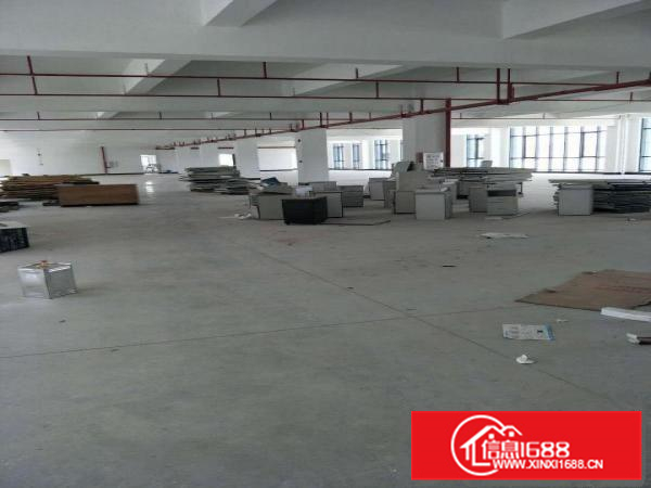 （出租）仲恺陈江花园式厂房4500平出租可分租