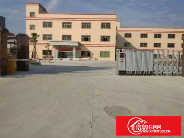 荷城尼教村出租1楼1200平厂房，带装修，水电齐全