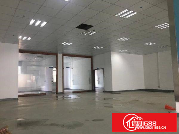 丹竹头地铁站300 500平方豪华装修厂房出租