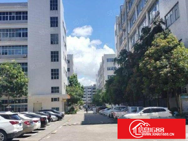 布吉李朗原房东红本2000平电商办公仓库，25全包