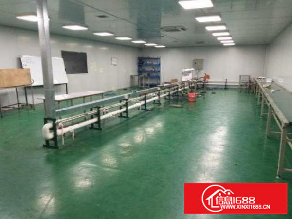 石岩下排一楼500平米厂房招租，带空地，拎包入住