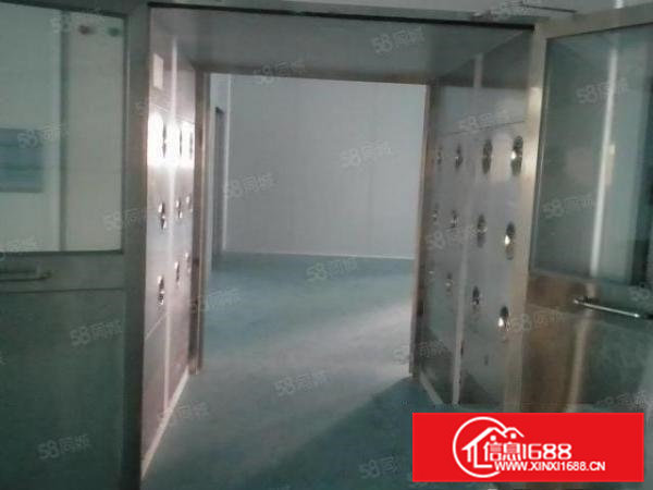 厂房出租大岭山国道边上楼上1500平方精装修带无尘车间厂房