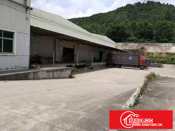 横岗9000平米物流仓库，1000平米起租，带平台