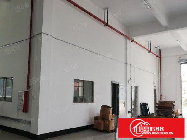 桥头镇独门独院厂房4800平方带现成办公室出租！！！！！！！