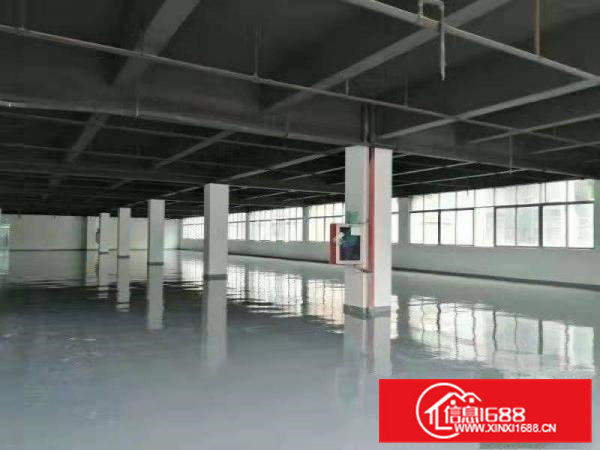 大朗沙步出租精装修厂房1000平，200平起分，装修九成新