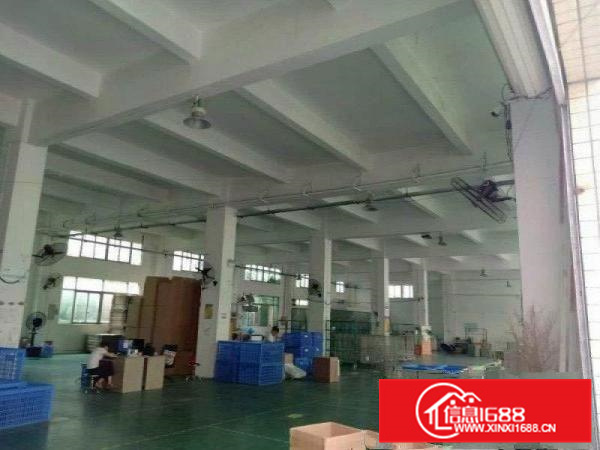 （出租）潼侨标准单一层厂房900平米出租（可分租