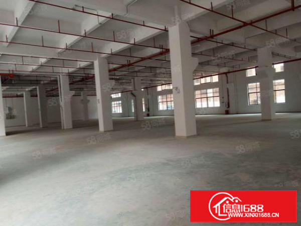 东坑镇高大上独院厂房10000平方招租，喷淋消防