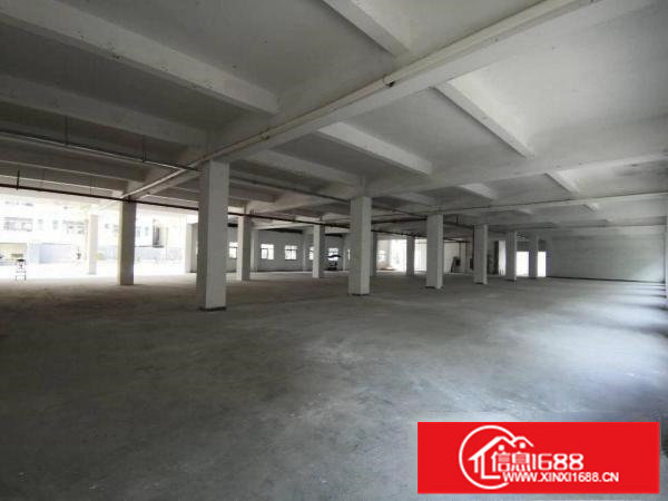 龙岗宝龙街道标准厂房一楼1290平方出租，可分租电有630