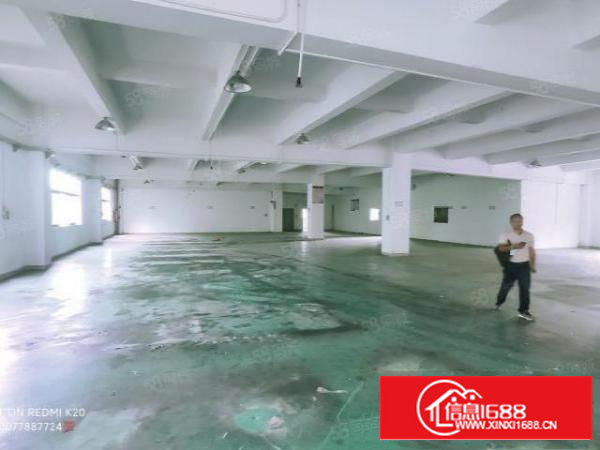 三联原房东三楼实际面积出租整层1000平方