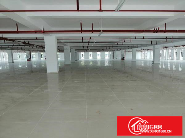 大朗镇中心7000平方欧式装修独院厂房可做幼儿园工厂