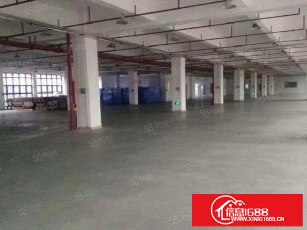 松岗高速出口新出原房东二楼整层2600平方厂房分租无公摊