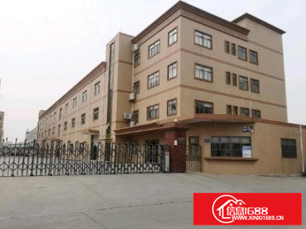 三中村主路边新出原房东楼上1500平带豪华装修