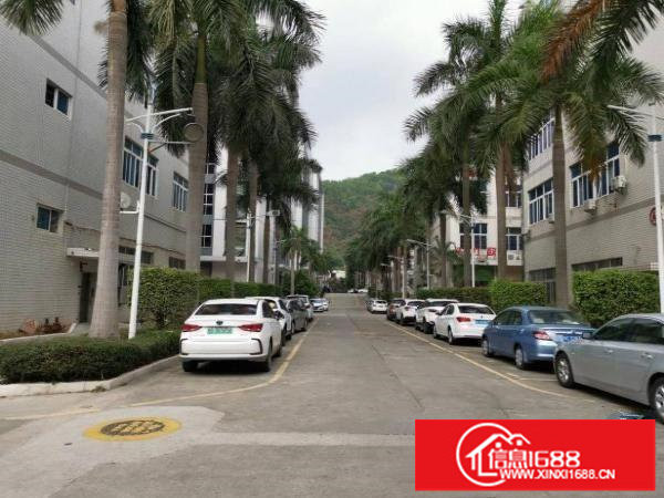 永湖地铁站旁红本花园式园区精装修厂房出租