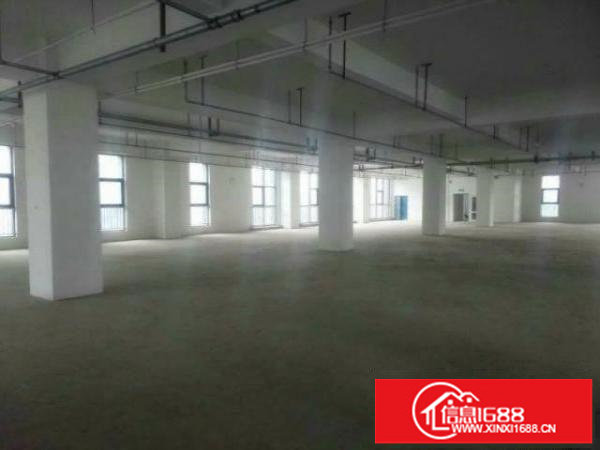 出租布吉丽湖300平高6.7米厂房