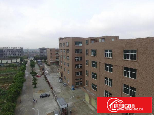 大湾区中心、政府补贴、广州南沙5500方厂房出租