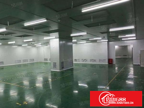 松岗107国道附近原房东红本厂房万级无尘车间2180平方